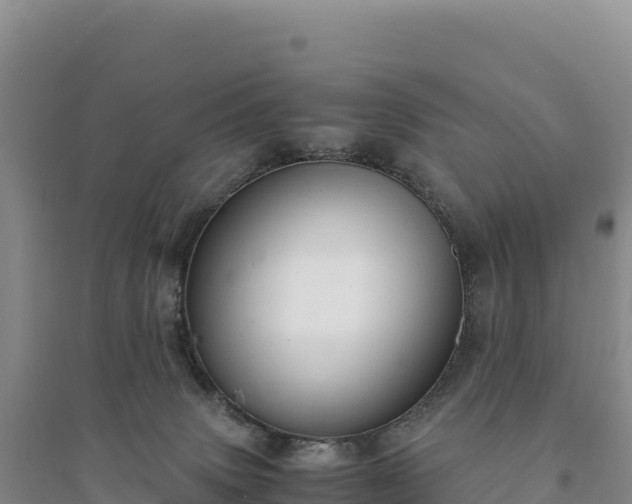 X0000094360083200711091524
