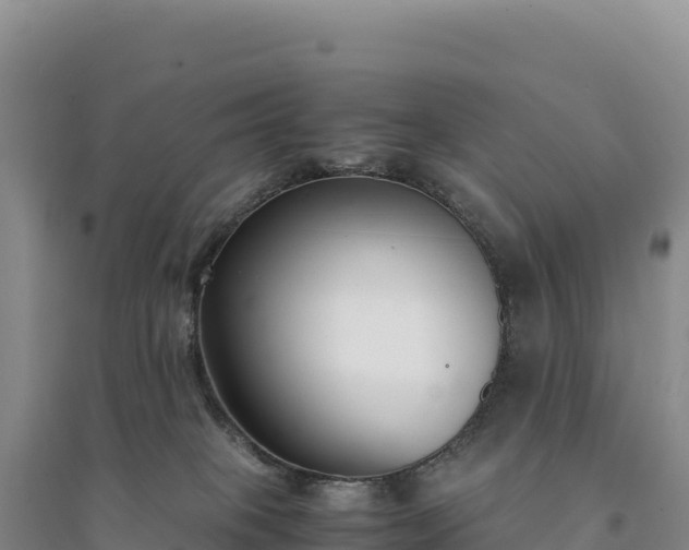 X0000094360085200711091524