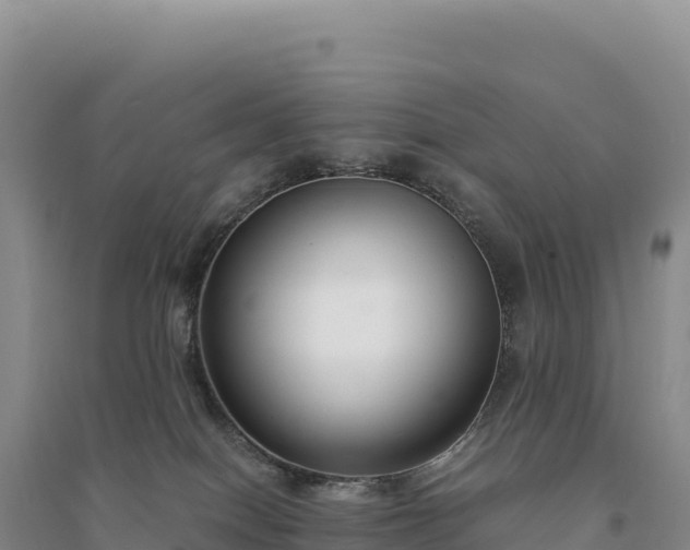 X0000094360086200711091524