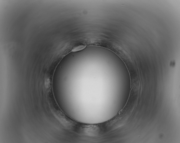 X0000094360087200711091524