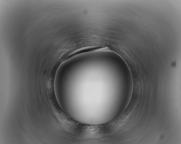 X0000094360088200711091524