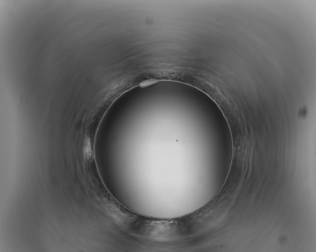 X0000094360089200711091524