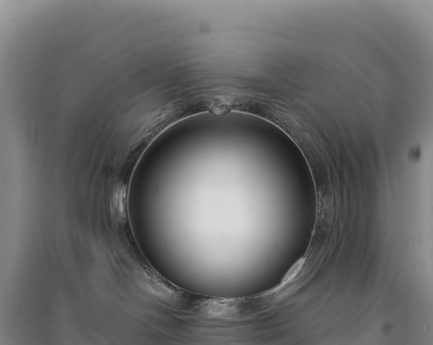 X0000094360094200711091524
