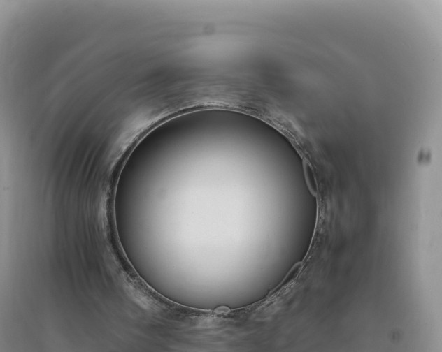 X0000094360098200711091524