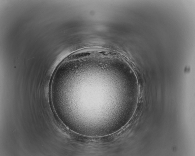 X0000094360099200711091524