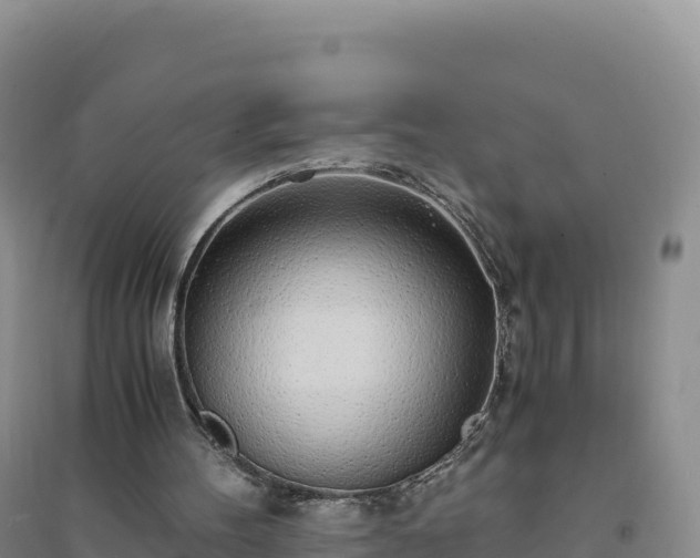 X0000094360100200711091524