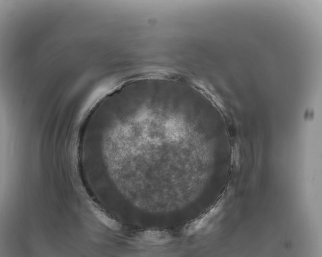 X0000094360101200711091524