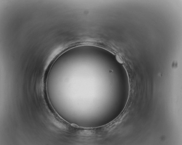 X0000094360102200711091524
