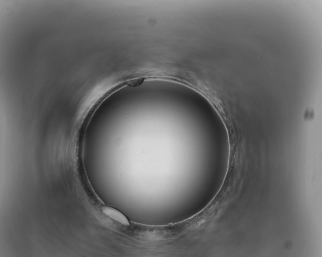 X0000094360103200711091524