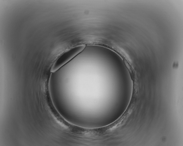 X0000094360105200711091524