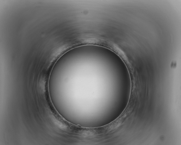 X0000094360106200711091524