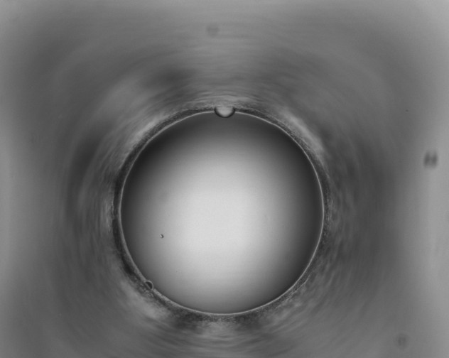 X0000094360107200711091524