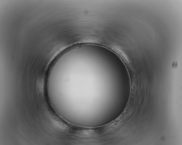 X0000094360108200711091524