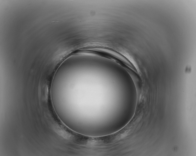 X0000094360109200711091524
