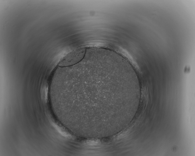 X0000094360110200711091523