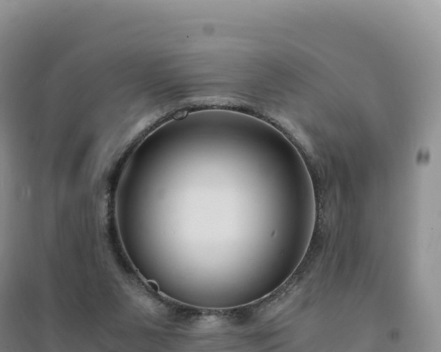 X0000094360111200711091523