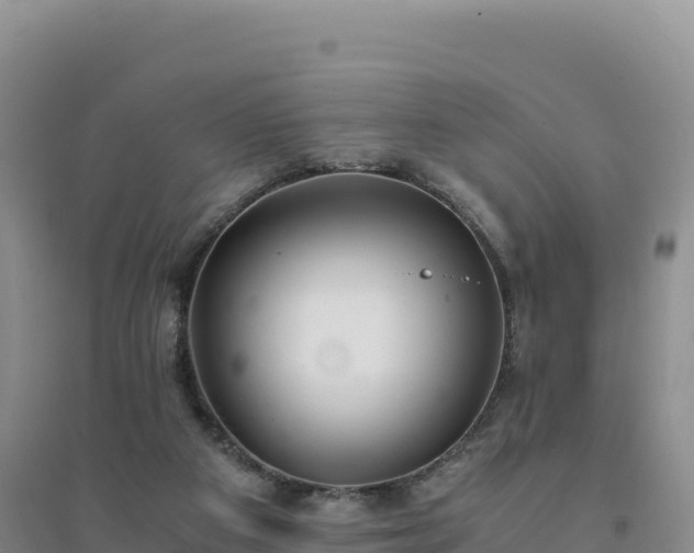 X0000094360113200711091523