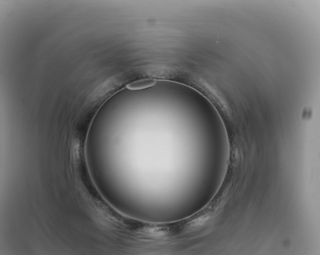 X0000094360117200711091523