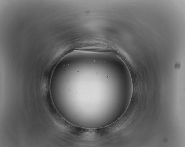 X0000094360119200711091523
