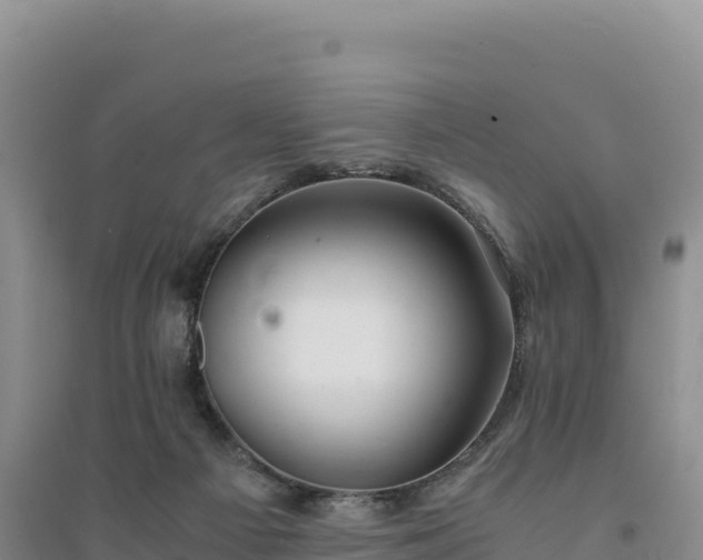 X0000094360121200711091523