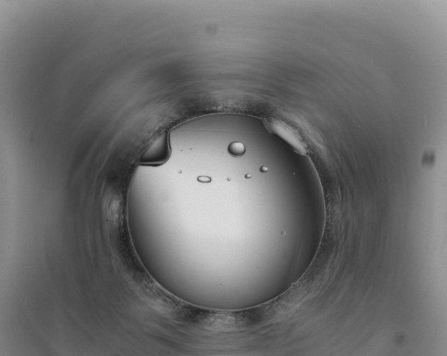 X0000094360123200711091523