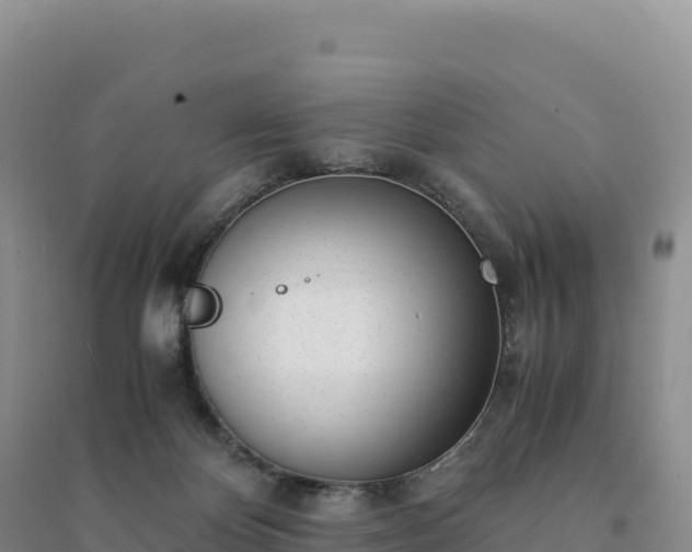 X0000094360124200711091523