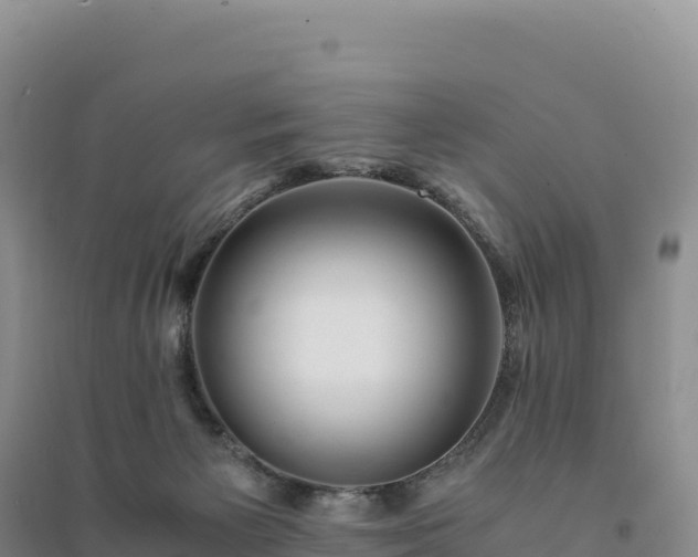 X0000094360125200711091523