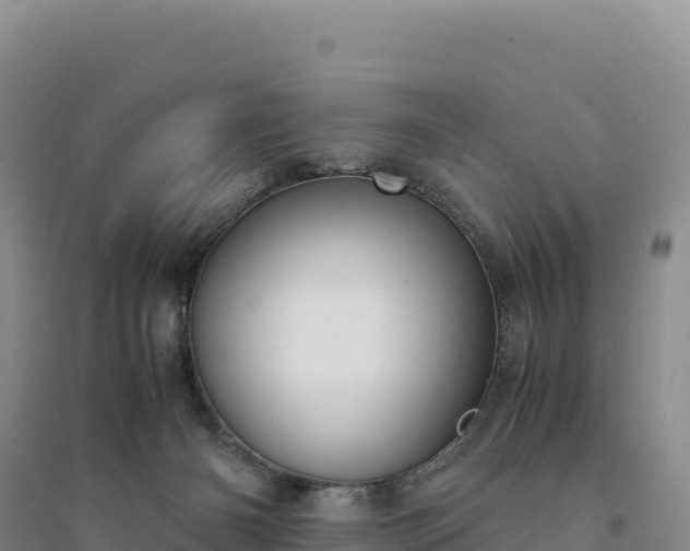 X0000094360126200711091523
