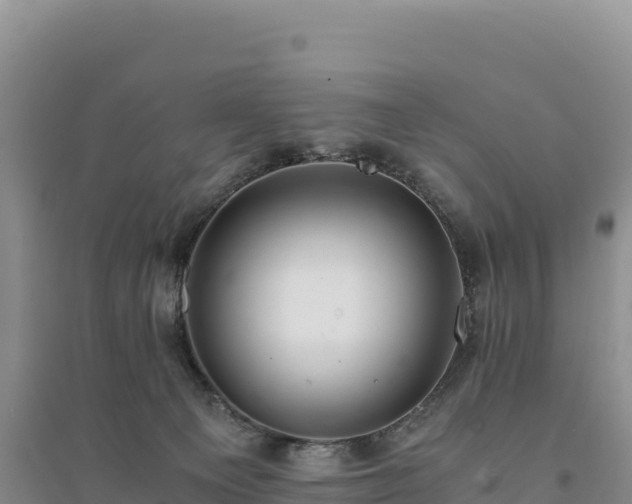 X0000094360129200711091523