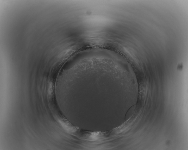 X0000094360130200711091523