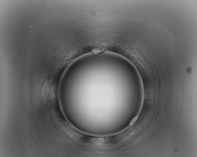 X0000094360131200711091523