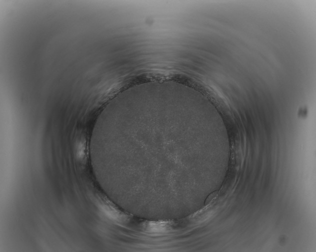 X0000094360134200711091523