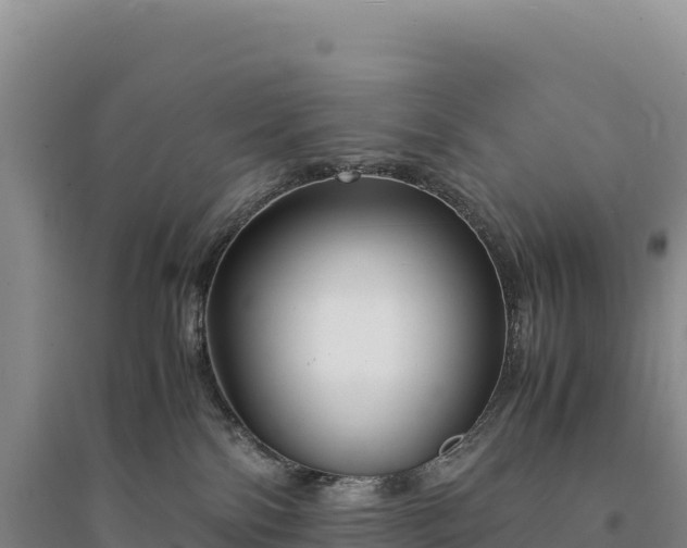 X0000094360138200711091523