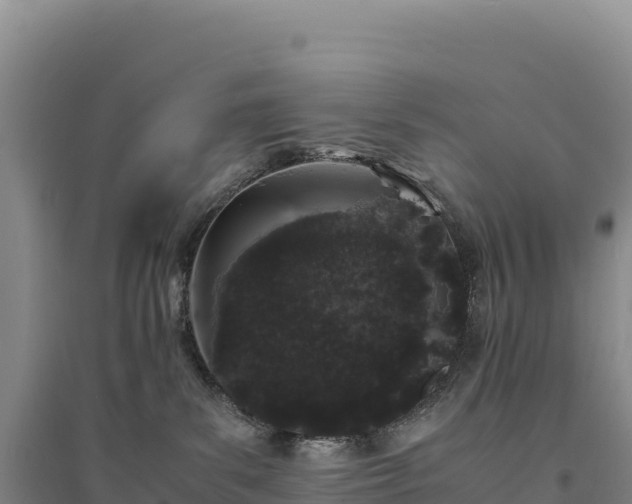 X0000094360139200711091523