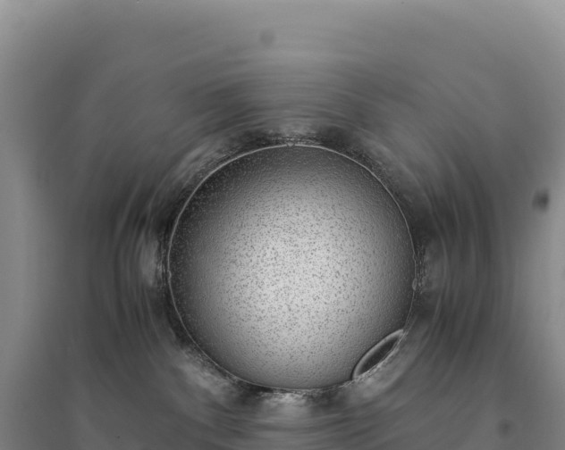 X0000094360140200711091523