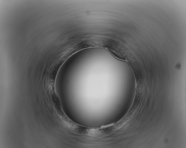 X0000094360141200711091523