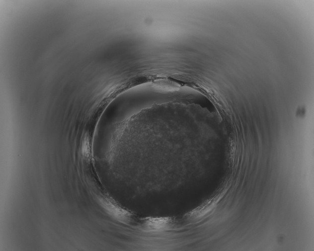 X0000094360143200711091523