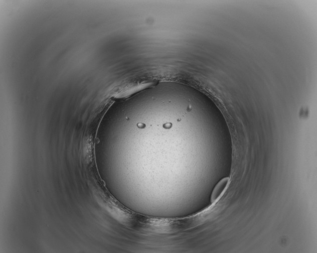 X0000094360144200711091523
