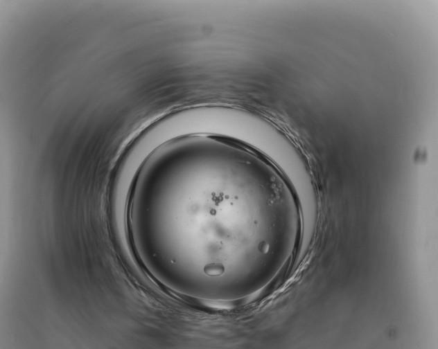 X0000094360146200711091522
