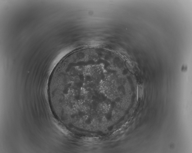 X0000094360147200711091522