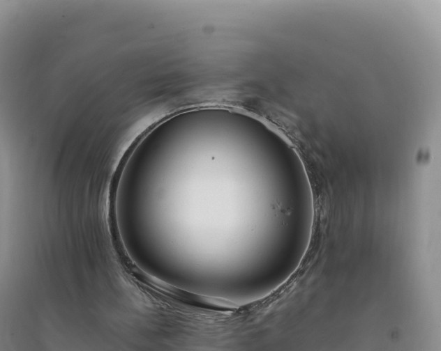 X0000094360148200711091522