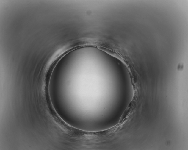 X0000094360150200711091522