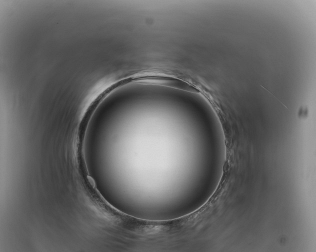 X0000094360152200711091522