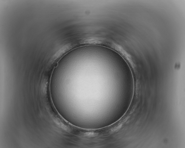 X0000094360153200711091522