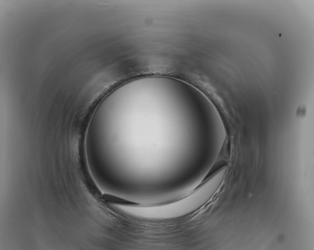X0000094360154200711091522