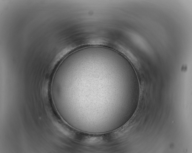 X0000094360155200711091522