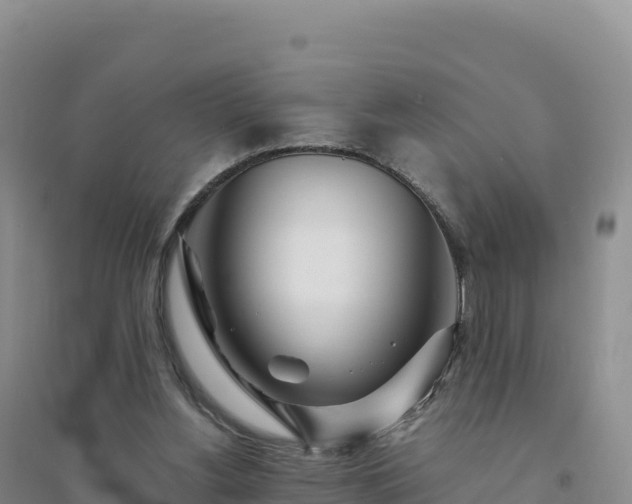 X0000094360156200711091523