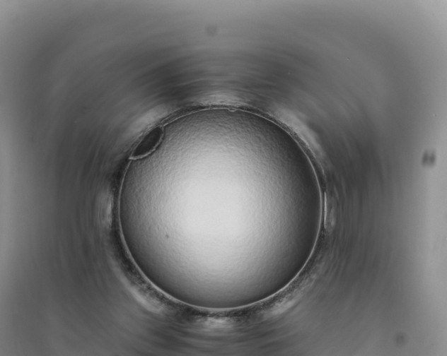 X0000094360157200711091523