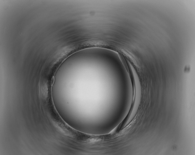 X0000094360158200711091523