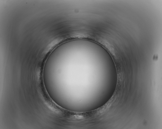 X0000094360159200711091523